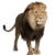 Leao